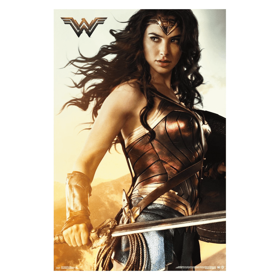 Trends International Wonder Woman Figure With Shield Poster DC Comics 3 Trends International Wonder Woman Figure With Shield Poster DC Comics