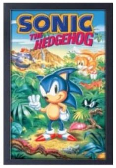 Sign Of The Times Sonic The Hedge Hog 11x17-1.25" Crystex Framed Art Sonic The Hedgehog 3 Sign Of The Times Sonic The Hedge Hog 11x17-1.25" Crystex Framed Art Sonic The Hedgehog