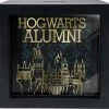 Spoontiques Harry Potter Hogwarts Alumni Shdw Box Bank