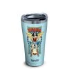 Tervis DC Comics Wonder Woman 1984 Steel Tumbler